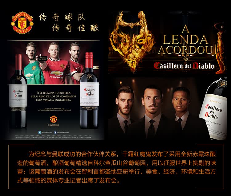 紅魔鬼葡萄酒批發(fā)全解析 智利紅酒經(jīng)銷價(jià)格參考與市場(chǎng)趨勢(shì)